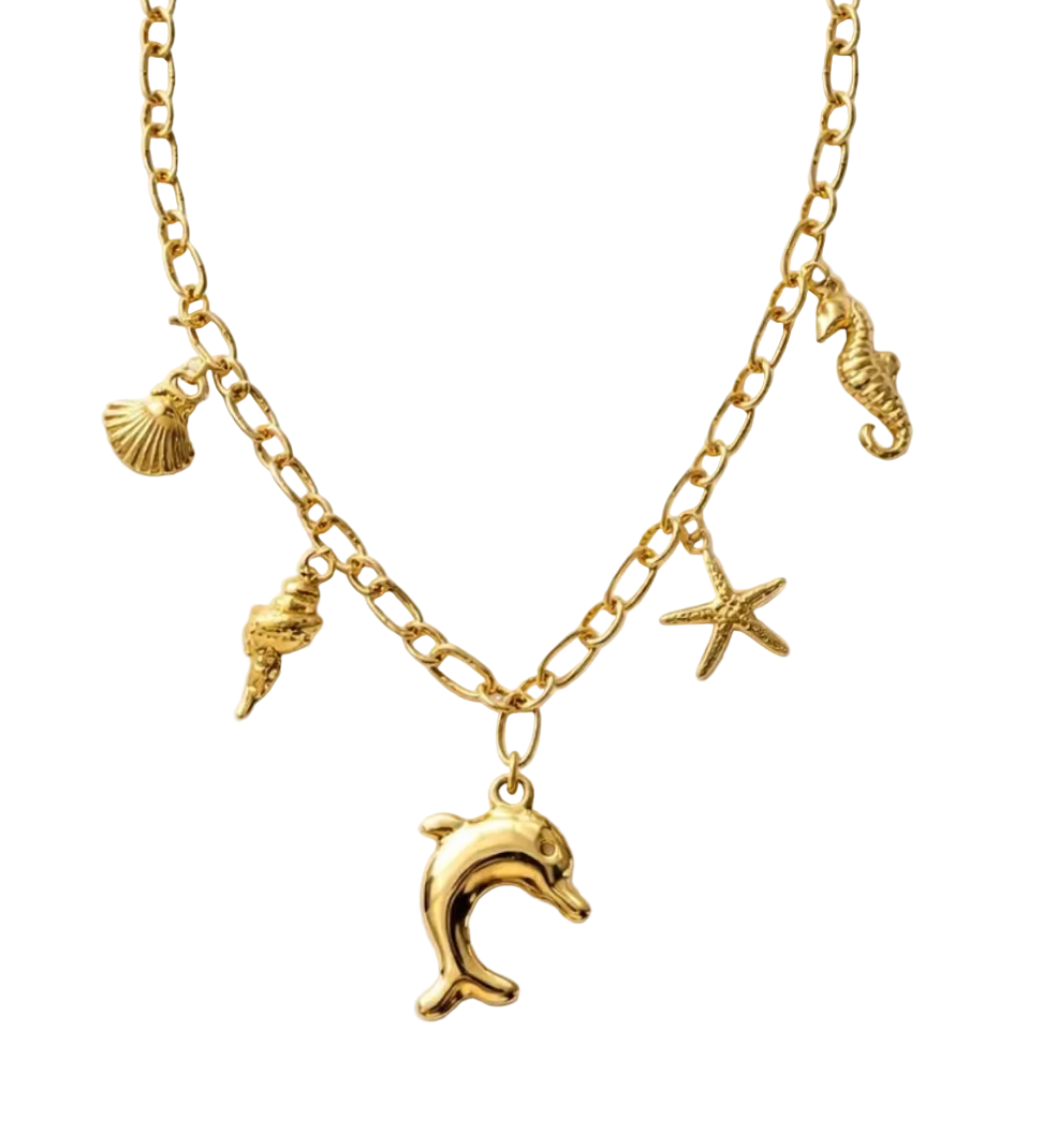 Collana Orizzonte Marino